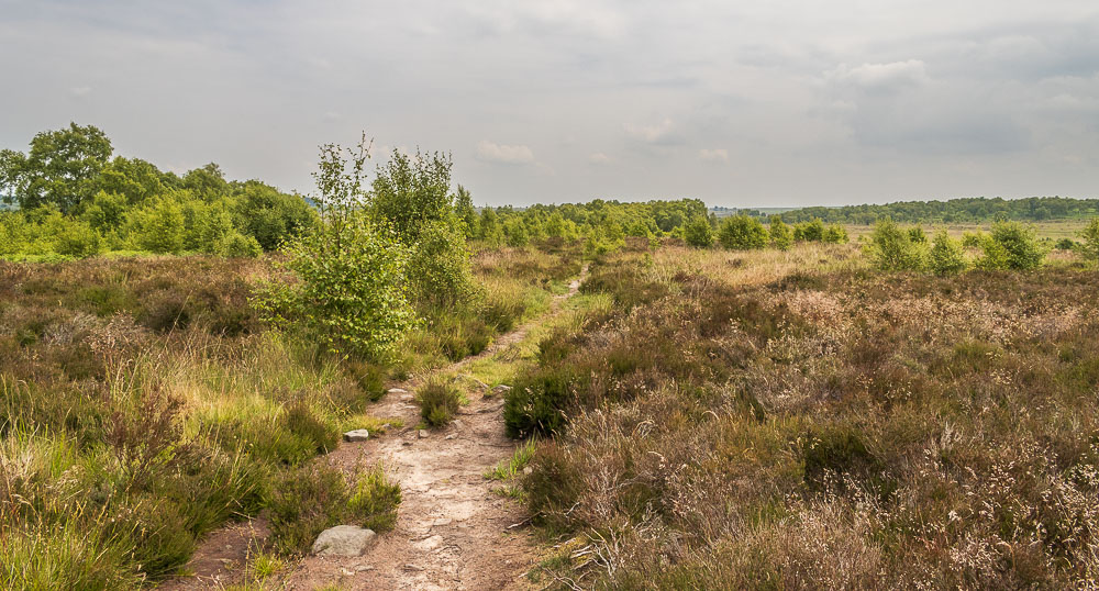Birchen Edge Birchen Edge